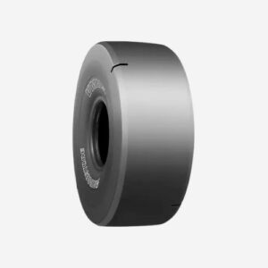 Bridgestone VMMS