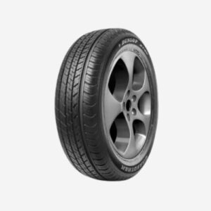 Dunlop ST30
